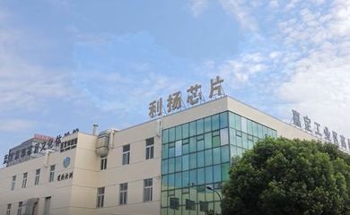 利揚芯片1億元設立上海光瞳芯微電子公司，深化集成電路設計產業布局